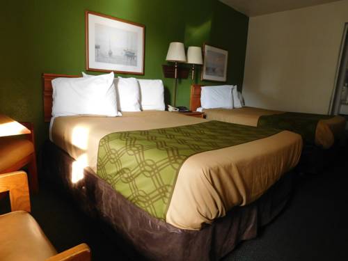 Imagen de la habitación del Hotel Econo Lodge Conway. Foto 3
