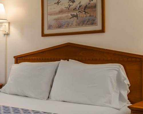 Imagen de la habitación del Hotel Econo Lodge Crystal River. Foto 6