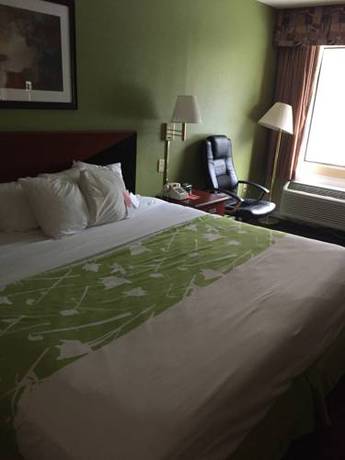 Imagen de la habitación del Hotel Econo Lodge Dothan. Foto 5