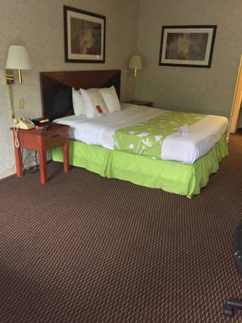 Imagen de la habitación del Hotel Econo Lodge Dothan West. Foto 6