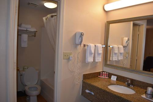 Imagen de la habitación del Hotel Econo Lodge Downtown Louisville. Foto 2