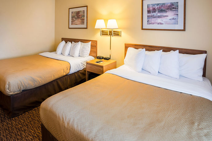 Imagen de la habitación del Hotel Econo Lodge Duluth Near Miller Hill Mall. Foto 2