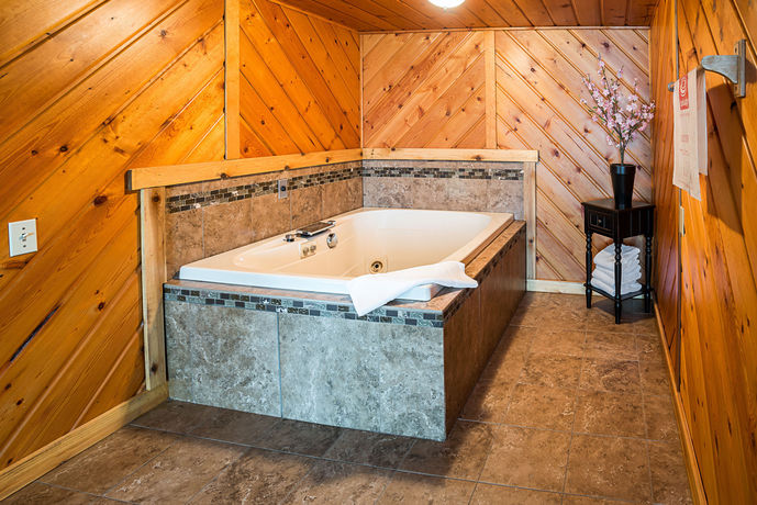 Imagen de la habitación del Hotel Econo Lodge Duluth Near Miller Hill Mall. Foto 5