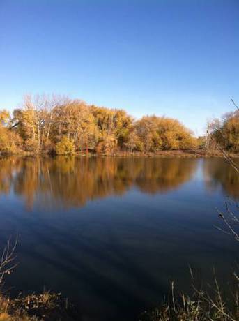 Imagen de la habitación del Hotel Econo Lodge Ellensburg Near University. Foto 5