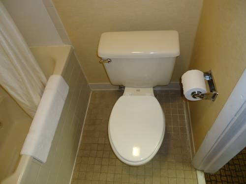 Imagen de la habitación del Hotel Econo Lodge Elmira-Corning. Foto 7