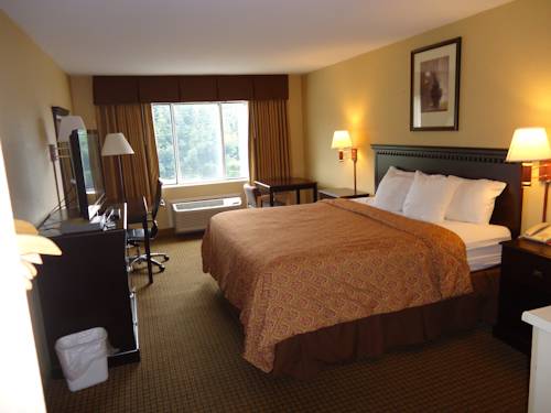 Imagen de la habitación del Hotel Econo Lodge Elmira-Corning. Foto 9