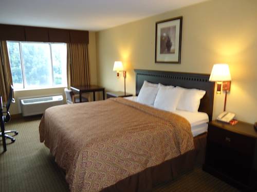 Imagen de la habitación del Hotel Econo Lodge Elmira-Corning. Foto 10