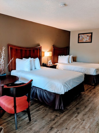 Imagen de la habitación del Hotel Econo Lodge Gainesville Downtown Area. Foto 12