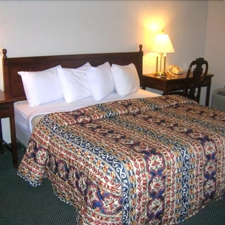 Imagen de la habitación del Hotel Econo Lodge, HIGH POINT, NC. Foto 4