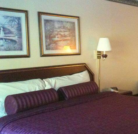 Imagen de la habitación del Hotel Econo Lodge Helen, GA. Foto 7