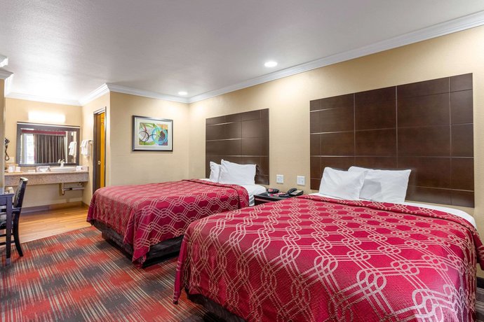Imagen de la habitación del Hotel Econo Lodge Inn And Suites Escondido Downtown. Foto 10