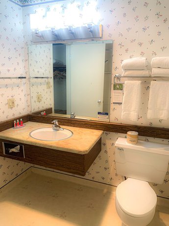 Imagen de la habitación del Hotel Econo Lodge Inn And Suites, Winnemucca. Foto 9