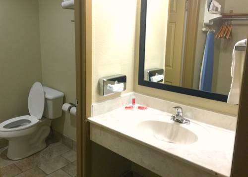 Imagen de la habitación del Hotel Econo Lodge Inn & Suites At The Convention Center. Foto 10