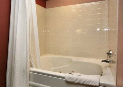 Imagen de la habitación del Hotel Econo Lodge Inn & Suites I-65. Foto 2