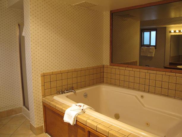 Imagen de la habitación del Hotel Econo Lodge Inn and Suites Central. Foto 6