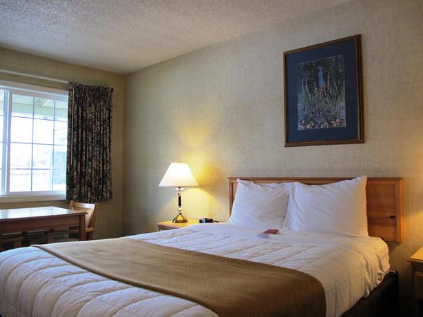 Imagen de la habitación del Hotel Econo Lodge Inn and Suites Central. Foto 9