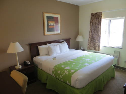 Imagen de la habitación del Hotel Econo Lodge Inn and Suites Fairgrounds. Foto 10