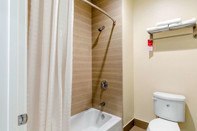 Imagen de la habitación del Hotel Econo Lodge Inn and Suites Houston Willowbrook. Foto 6