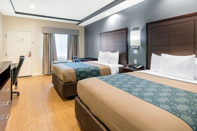 Imagen de la habitación del Hotel Econo Lodge Inn and Suites Houston Willowbrook. Foto 11