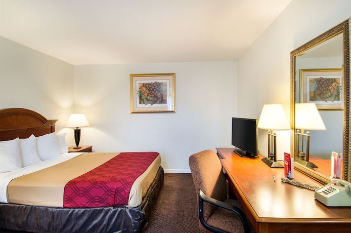 Imagen de la habitación del Hotel Econo Lodge Inn and Suites, Northborough. Foto 7