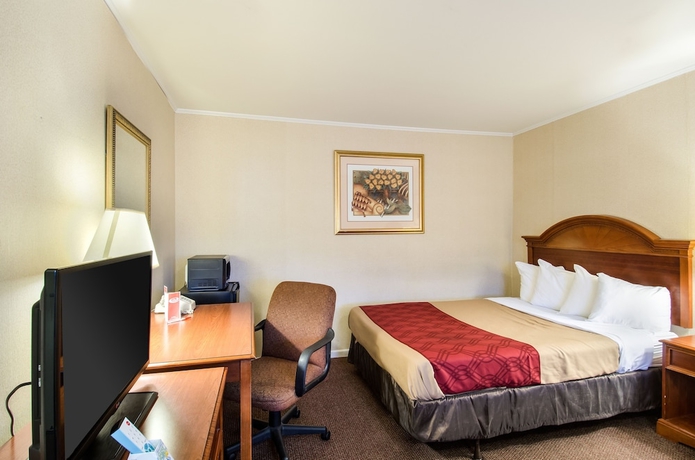 Imagen de la habitación del Hotel Econo Lodge Inn and Suites, Northborough. Foto 15