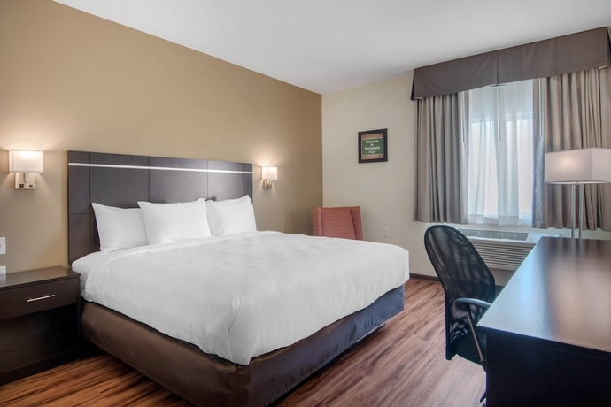 Imagen de la habitación del Hotel Econo Lodge Inn and Suites, Springfield. Foto 13