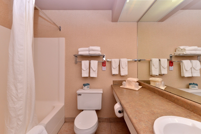 Imagen de la habitación del Hotel Econo Lodge Inn and Suites University. Foto 4