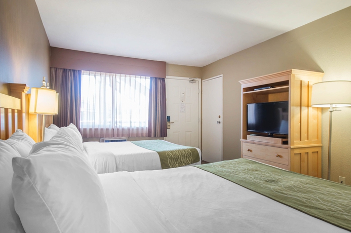 Imagen de la habitación del Hotel Econo Lodge Inn and Suites, Vancouver. Foto 2