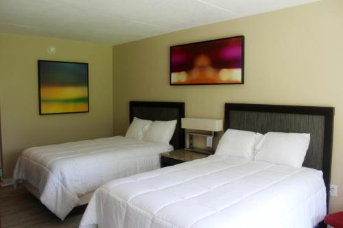 Imagen general del Hotel Econo Lodge Jennings. Foto 2