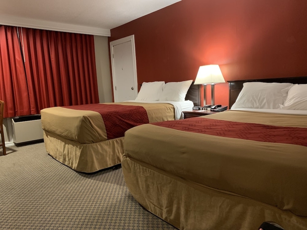 Imagen de la habitación del Hotel Econo Lodge London, London. Foto 3