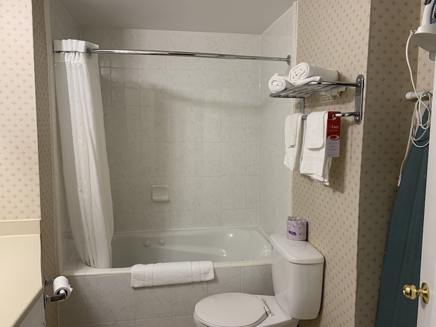 Imagen de la habitación del Hotel Econo Lodge London, London. Foto 7