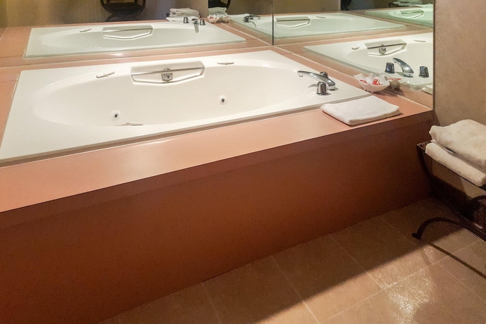 Imagen de la habitación del Hotel Econo Lodge Metro. Foto 13