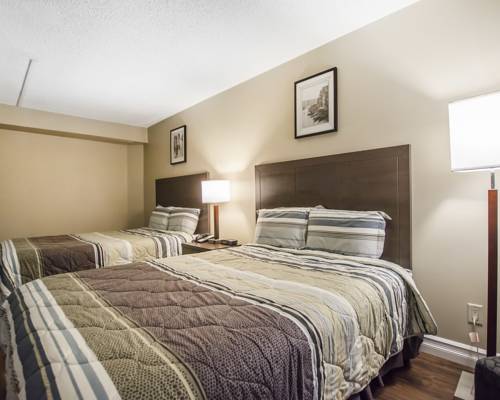 Imagen de la habitación del Hotel Econo Lodge Miramichi. Foto 7