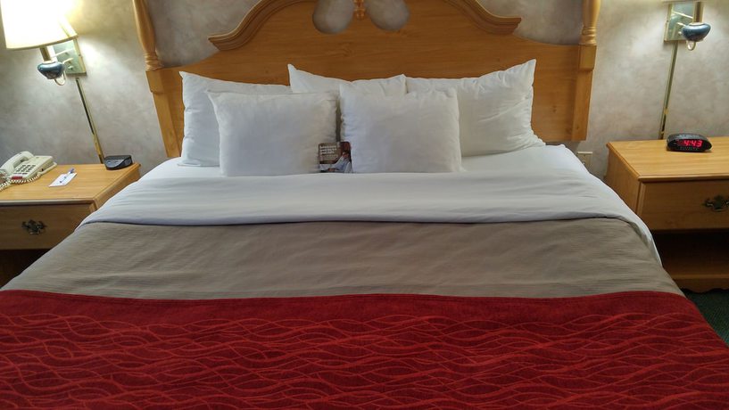 Imagen de la habitación del Hotel Econo Lodge Newport Smoky Mountains Gateway. Foto 12