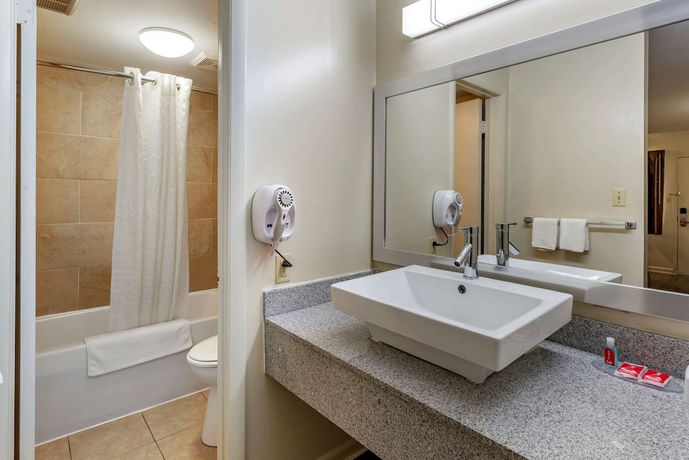 Imagen de la habitación del Hotel Econo Lodge North, Charlottesville. Foto 15