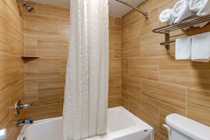Imagen de la habitación del Hotel Econo Lodge North, Charlottesville. Foto 17