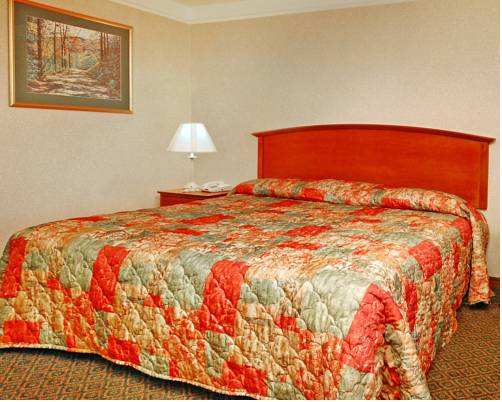 Imagen de la habitación del Hotel Econo Lodge North Knoxville. Foto 8