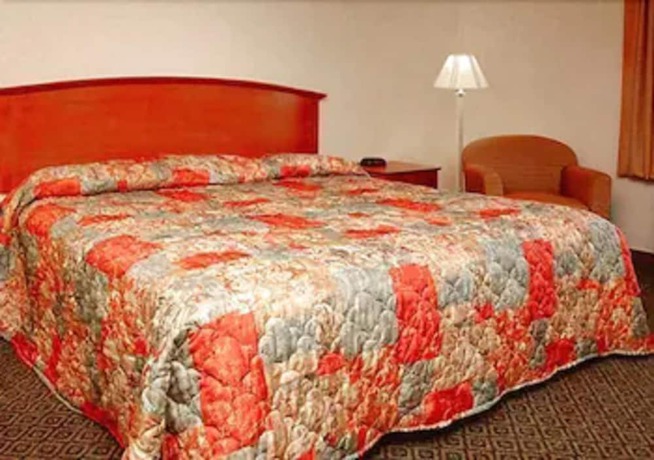 Imagen de la habitación del Hotel Econo Lodge North, Knoxville. Foto 14