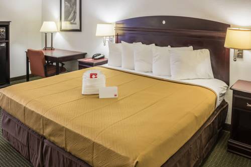 Imagen de la habitación del Hotel Econo Lodge, Palm Coast. Foto 9