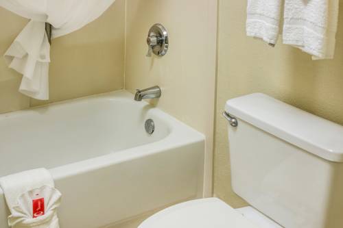 Imagen de la habitación del Hotel Econo Lodge, Palm Coast. Foto 11