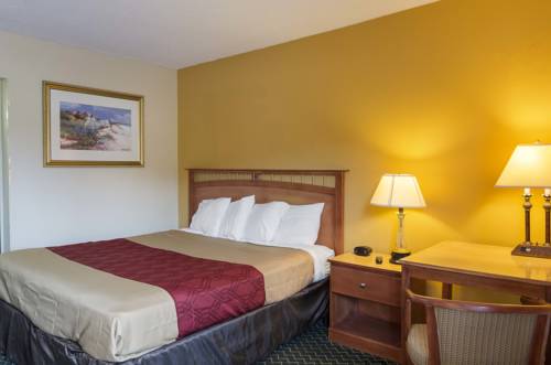 Imagen de la habitación del Hotel Econo Lodge Petersburg. Foto 11
