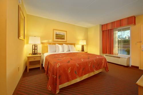 Imagen de la habitación del Hotel Econo Lodge Pigeon Forge Riverside. Foto 3
