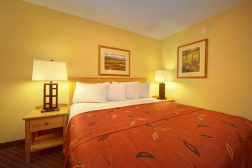 Imagen de la habitación del Hotel Econo Lodge Pigeon Forge Riverside. Foto 4