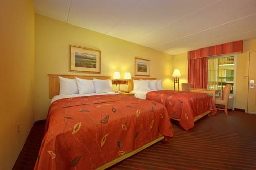 Imagen general del Hotel Econo Lodge Pigeon Forge Riverside. Foto 1