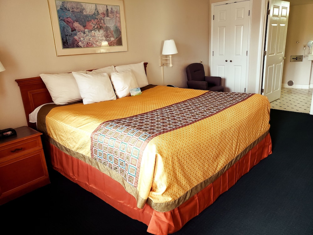 Imagen de la habitación del Hotel Econo Lodge Richmond-North Chesterfield. Foto 3
