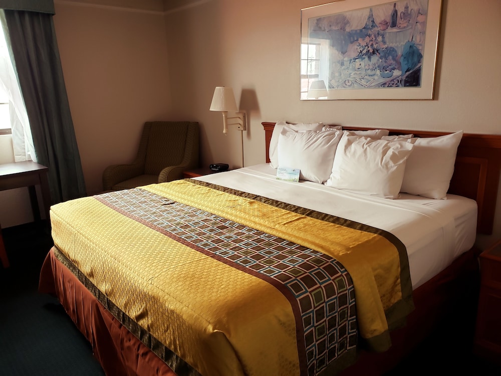 Imagen de la habitación del Hotel Econo Lodge Richmond-North Chesterfield. Foto 15