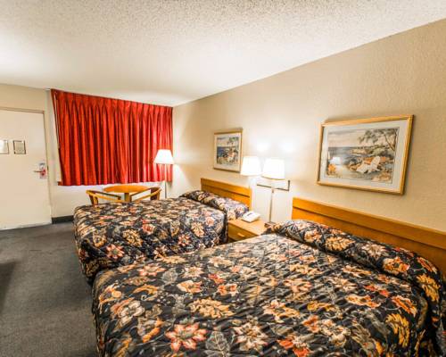 Imagen de la habitación del Hotel Econo Lodge Sebring. Foto 3