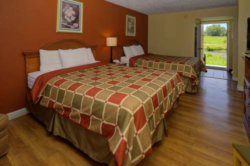 Imagen de la habitación del Hotel Econo Lodge Sevierville-pigeon Forge On The River. Foto 6