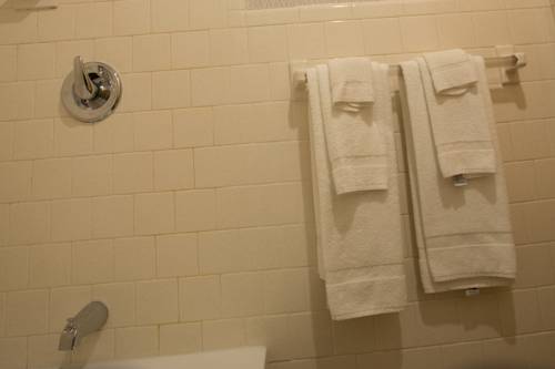 Imagen de la habitación del Hotel Econo Lodge Sturbridge Route 20. Foto 7