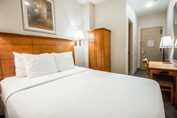 Imagen de la habitación del Hotel Econo Lodge Times Square. Foto 13